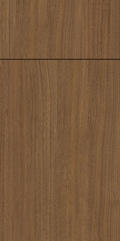 Vision - Pilz door design