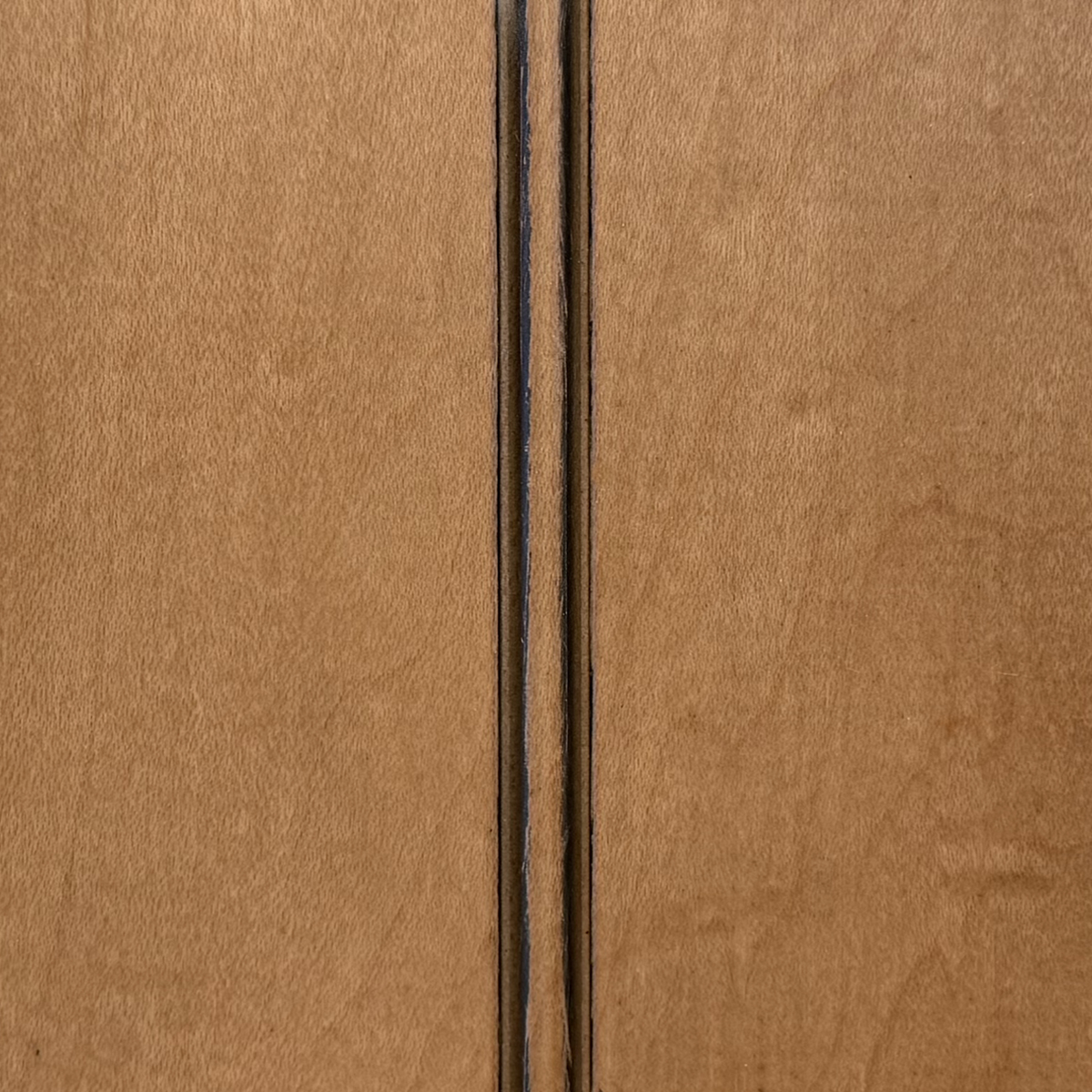 Maple Autumn | Black